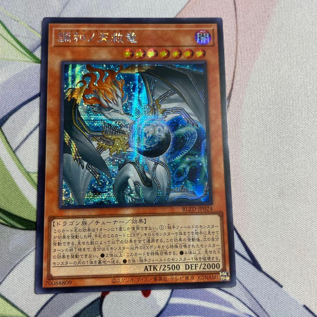 調和ノ天救竜　アジアシークレット