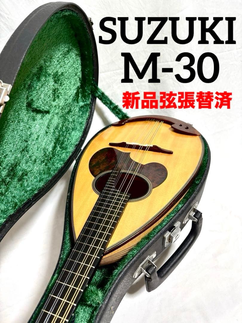 【新品弦張替済】SUZUKI マンドリン M-30 チューナー/ピック/ケース