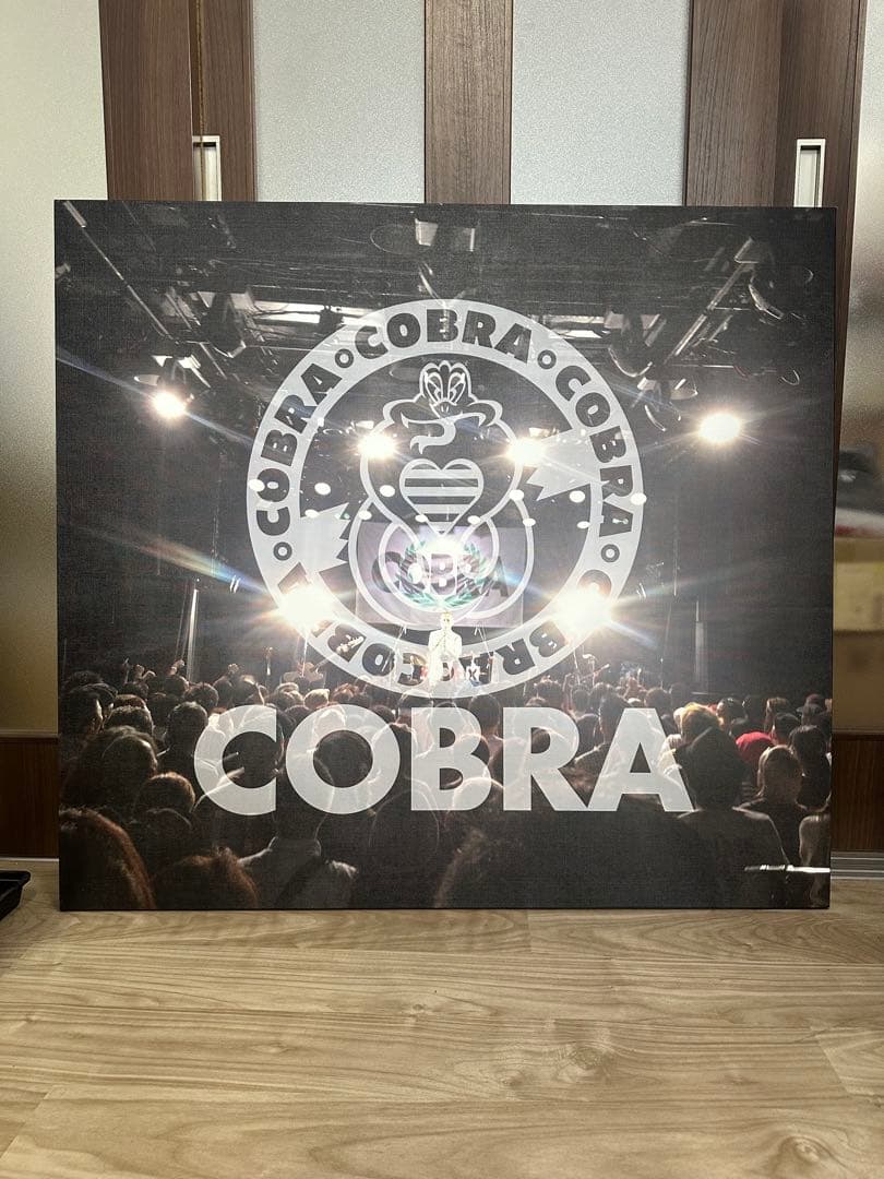 COBRA one-man 2015 UNIT パネル