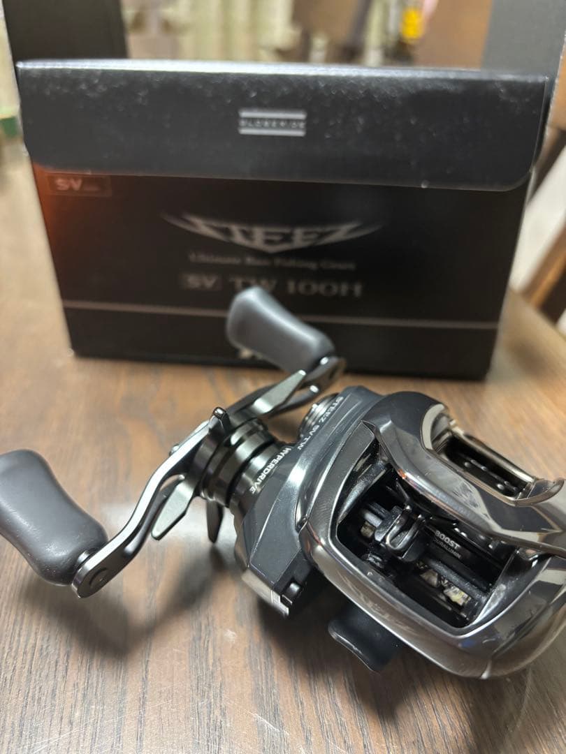 ダイワ 24スティーズSV TW 100H