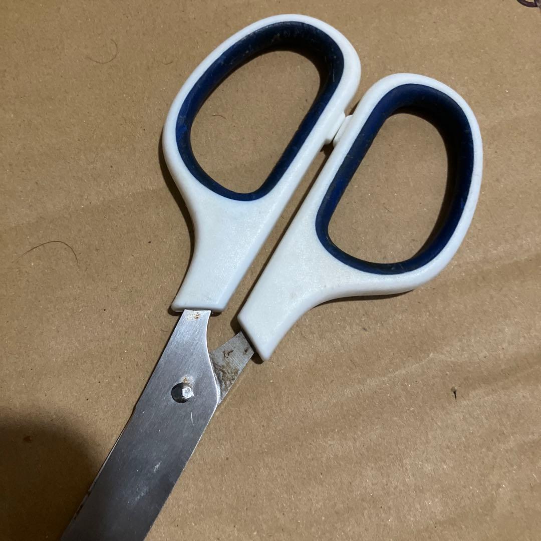 白と青のステンレスはさみ