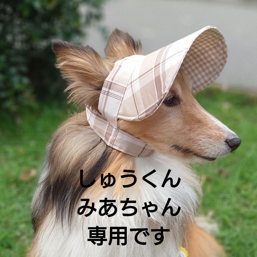 しゅうくん、みあちゃん専用です