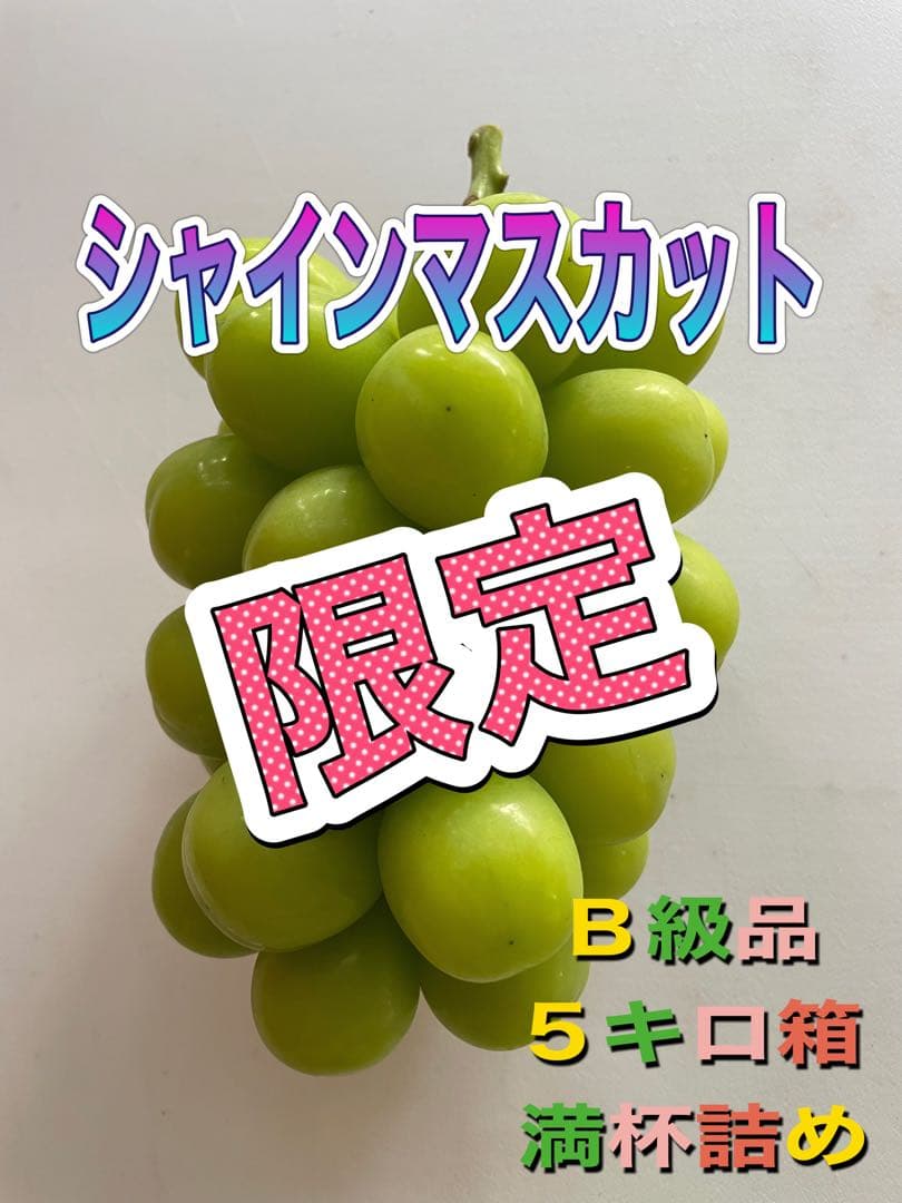 限定‼️山梨県産　ぶどう(シャインマスカット) B級品5キロ箱