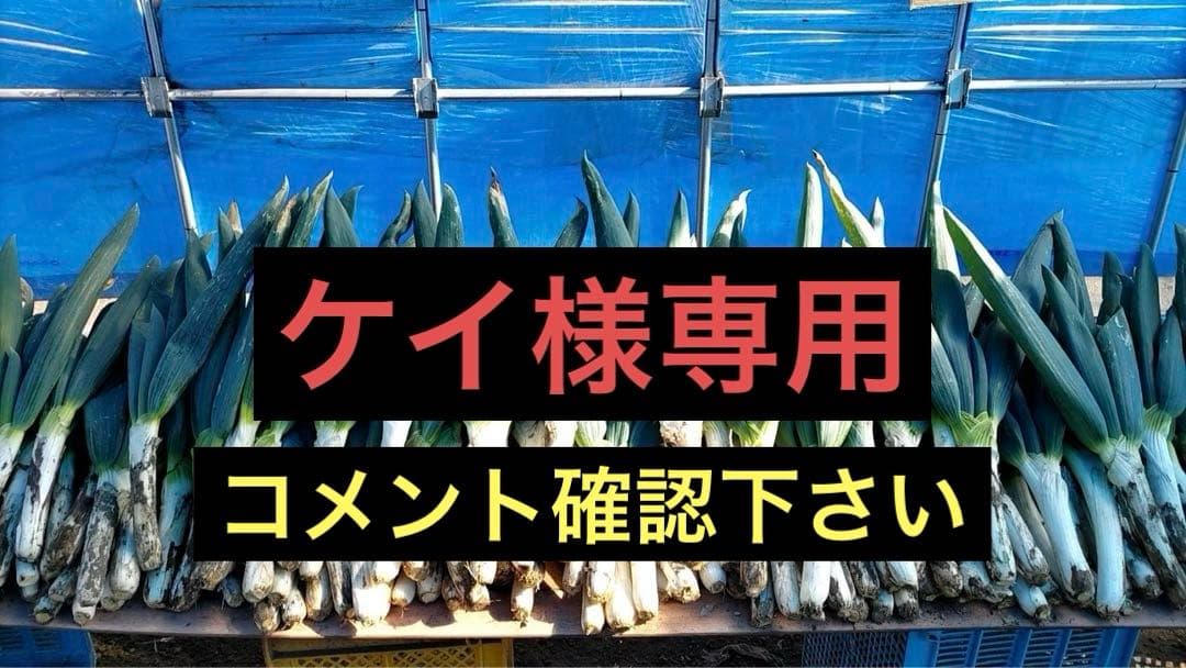 本場下仁田ネギ　３箱