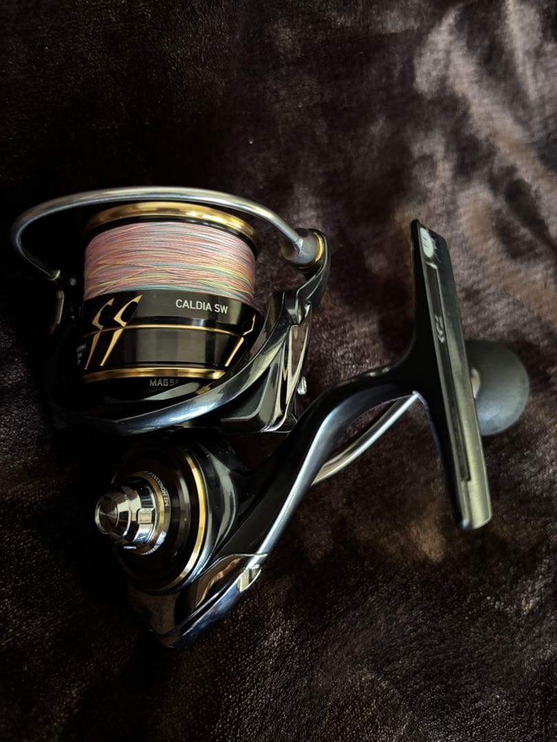 カオ　CALDIA SW スピニングリール