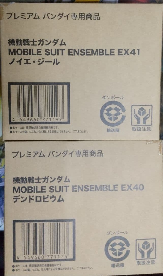 アンサンブルensemble EX40 EX41 デンドロビウム ノイエ・ジール