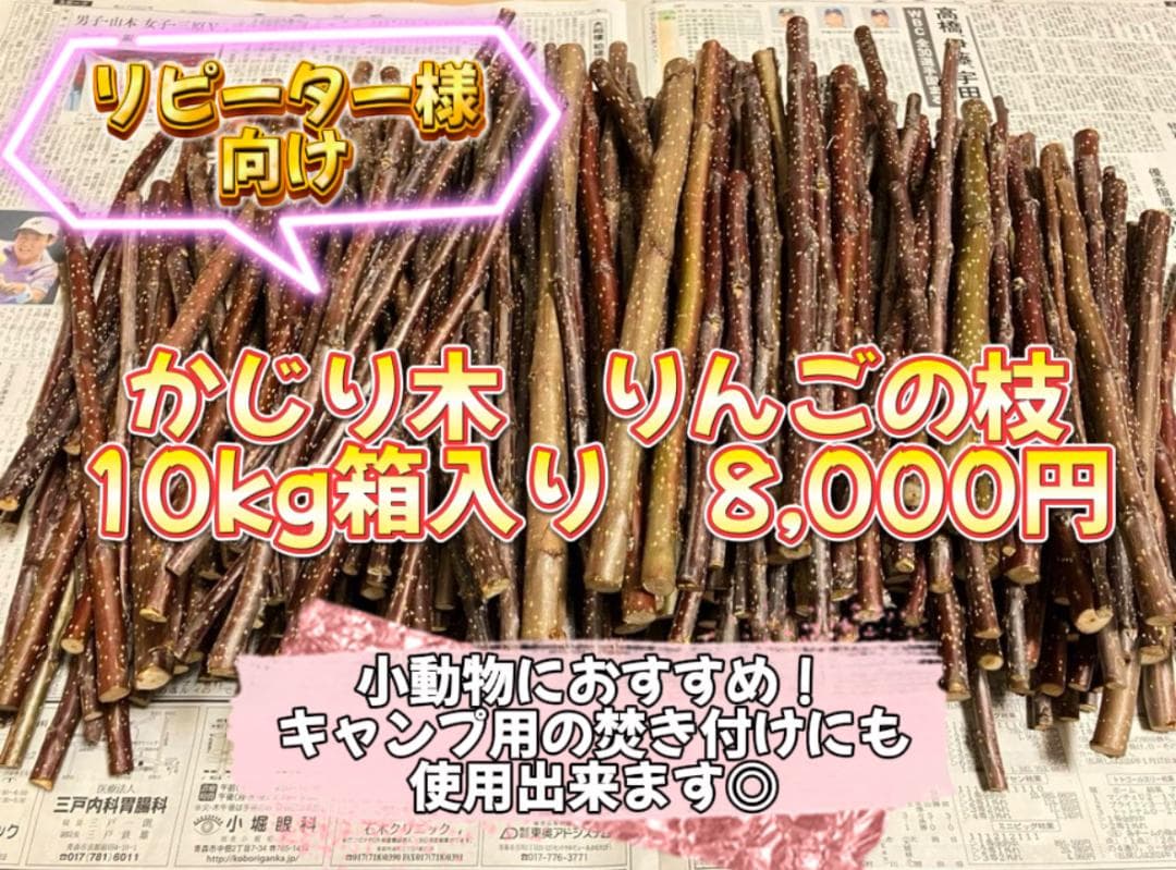 かじり木　りんごの枝