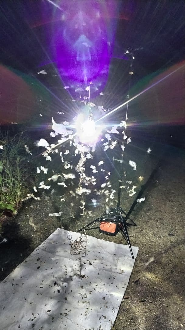 HIDライトトラップお作りします★紫外線放出加工済★連絡用