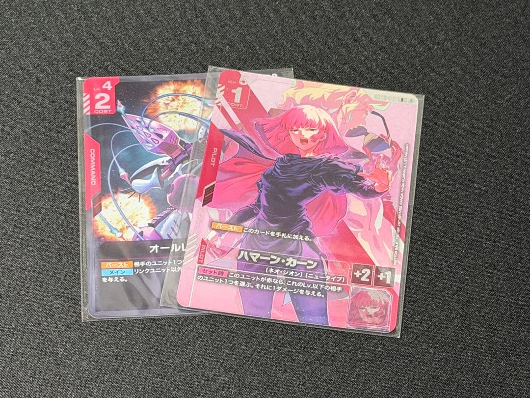 ハマーン・カーン　プロモ　未開封　ニュータイプチャレンジ　オールレンジ攻撃