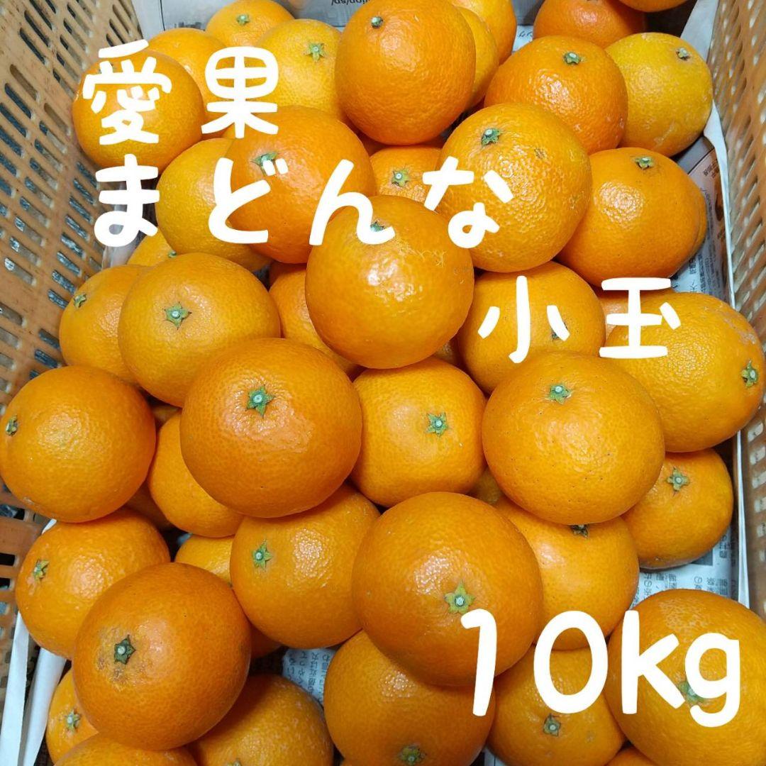 642愛果 まどんな 家庭用小玉 10kg