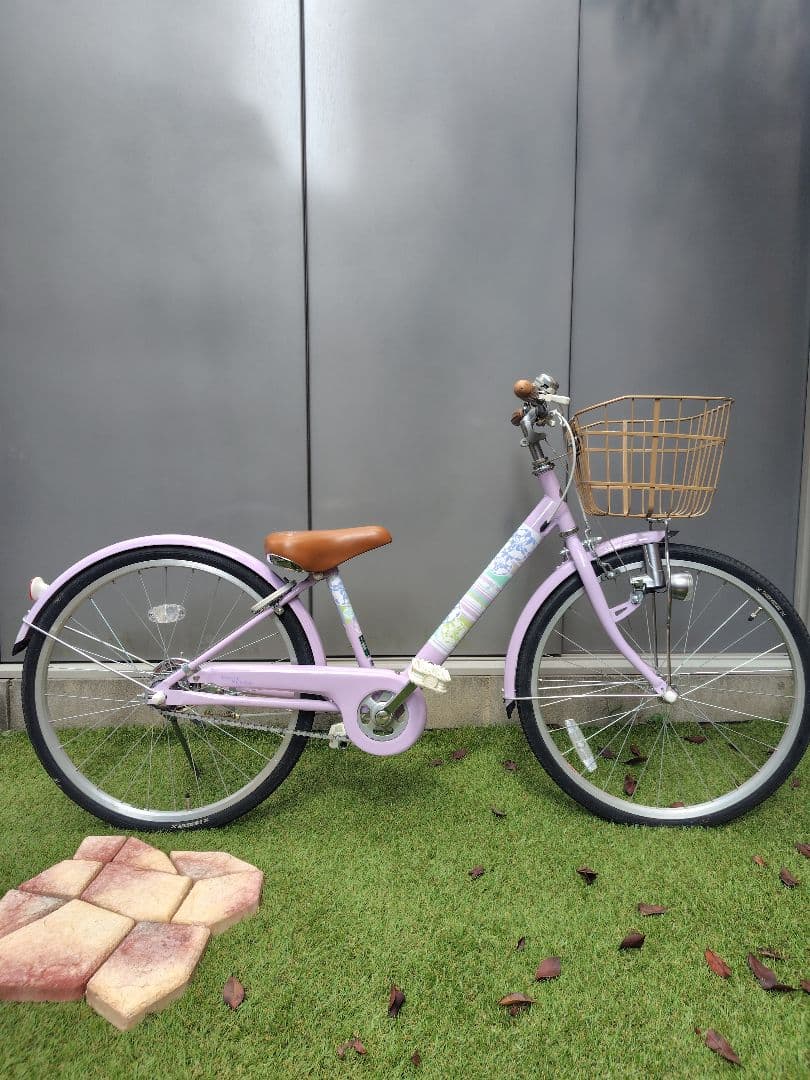 【京都市内手渡し限定】ブリヂストン　エコパル・モカ　22インチ