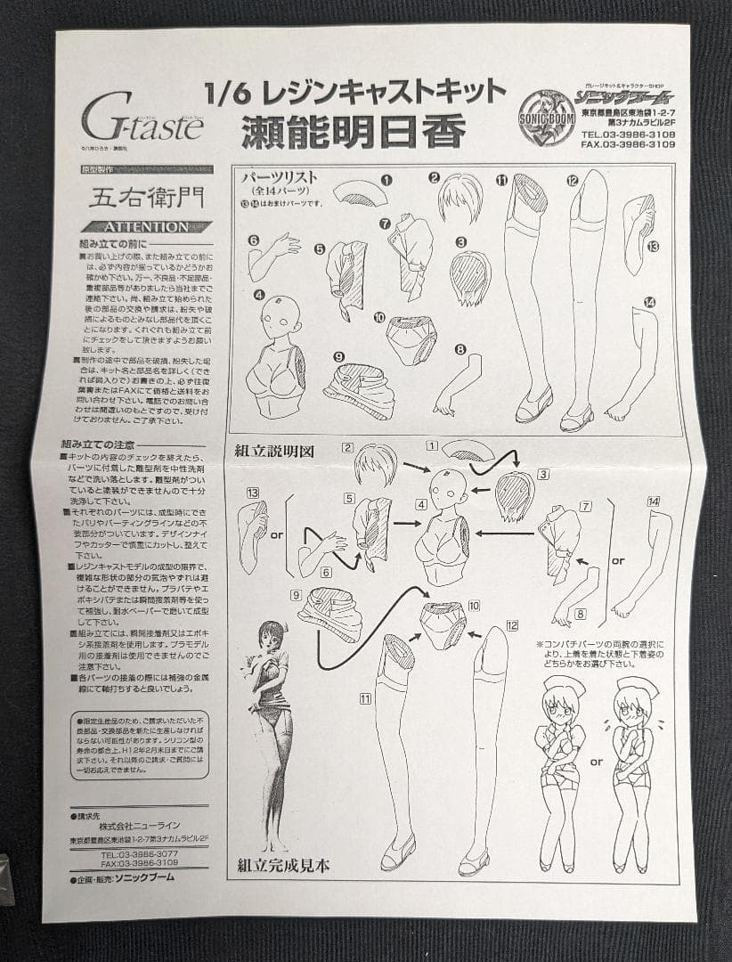 WF2000 瀬能明日香 G-taste 1/6 ガレージキット 八神ひろき