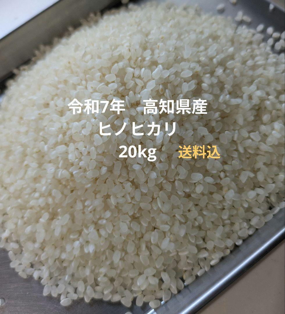 ヒノヒカリ　20kg　令和7年　高知県産　送料込