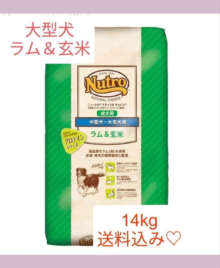 ニュートロ ナチュラル チョイス 中～大型成犬用 ラム＆玄米値下げ不可
