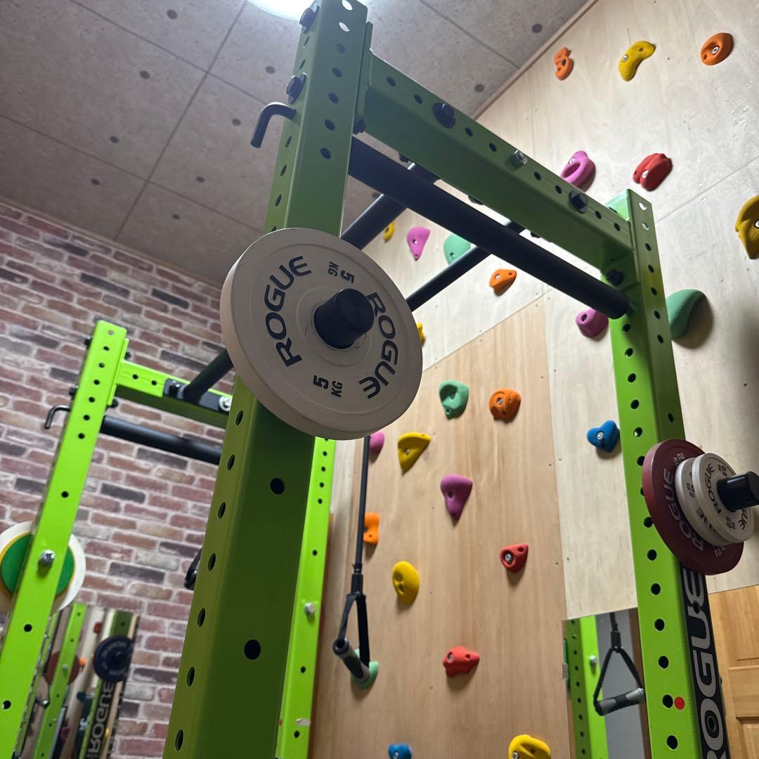 rogue モンスターライトラック