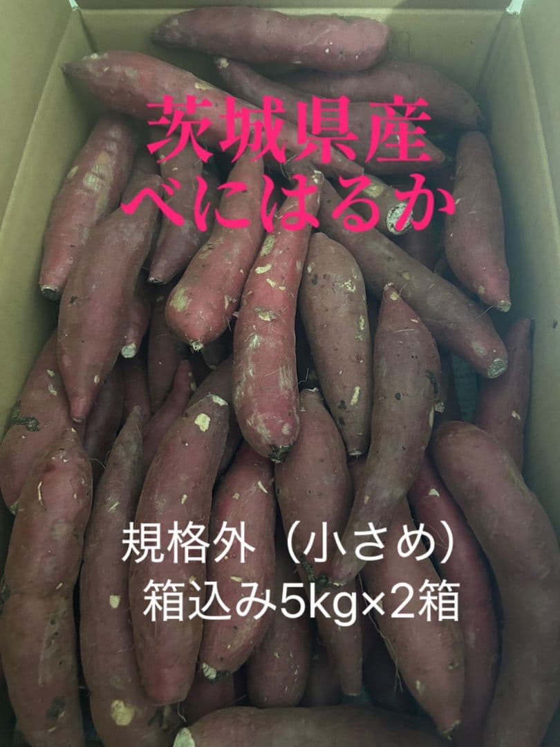 茨城県ひたちなか産 べにはるか 規格外 箱込み5kg×2箱