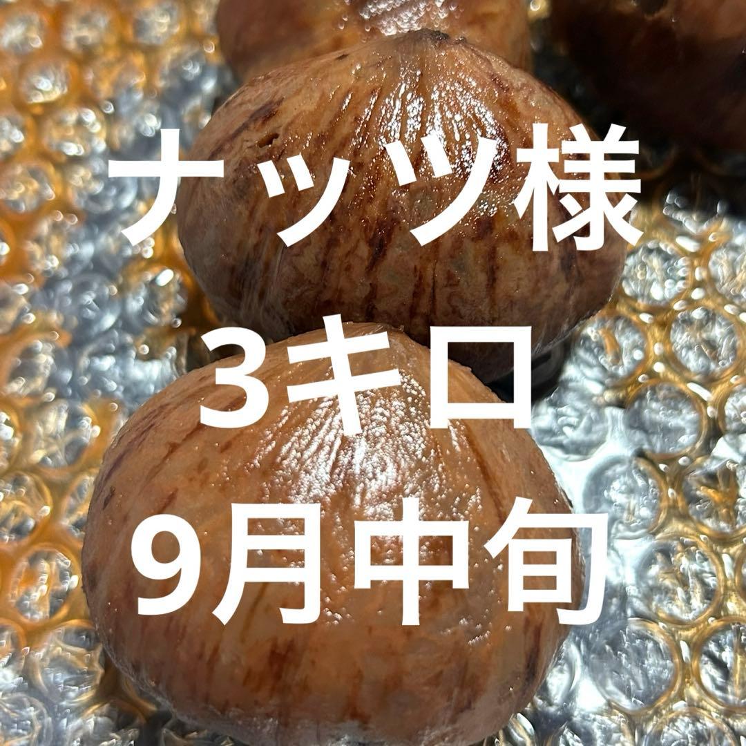 ナッツ様　生栗　3キロ　9月中旬