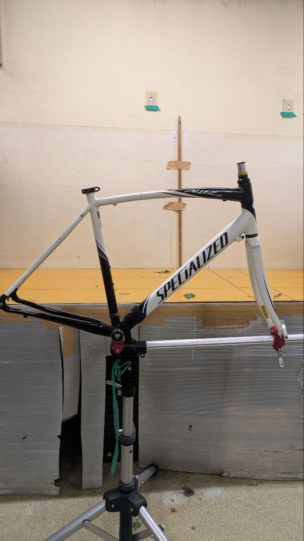 アレーエリート　サイズ56cm