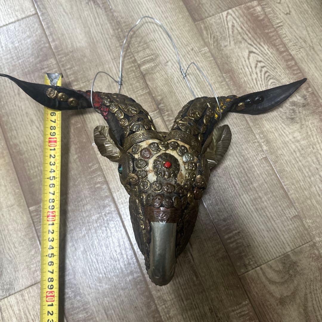 チベタンスカル　山羊　モンクスカル　チベット　法具　チベタンゴート　頭蓋骨