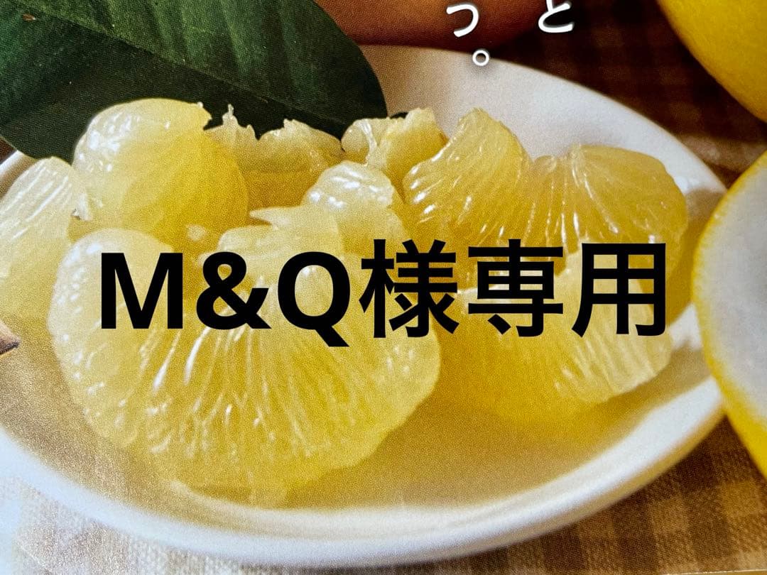 M&Q　土佐文旦B品大玉20キロ