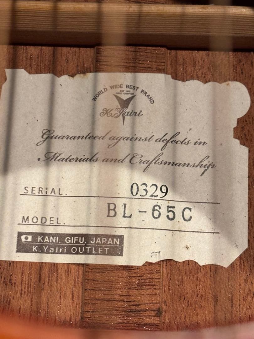 希少！　K.Yari BL65C CYS + L.R.Baggs エレアコ