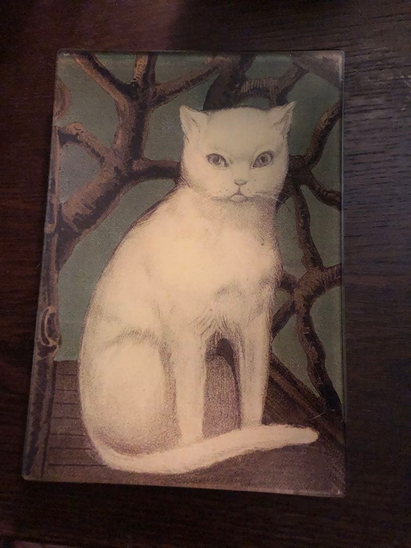 ジョンデリアン