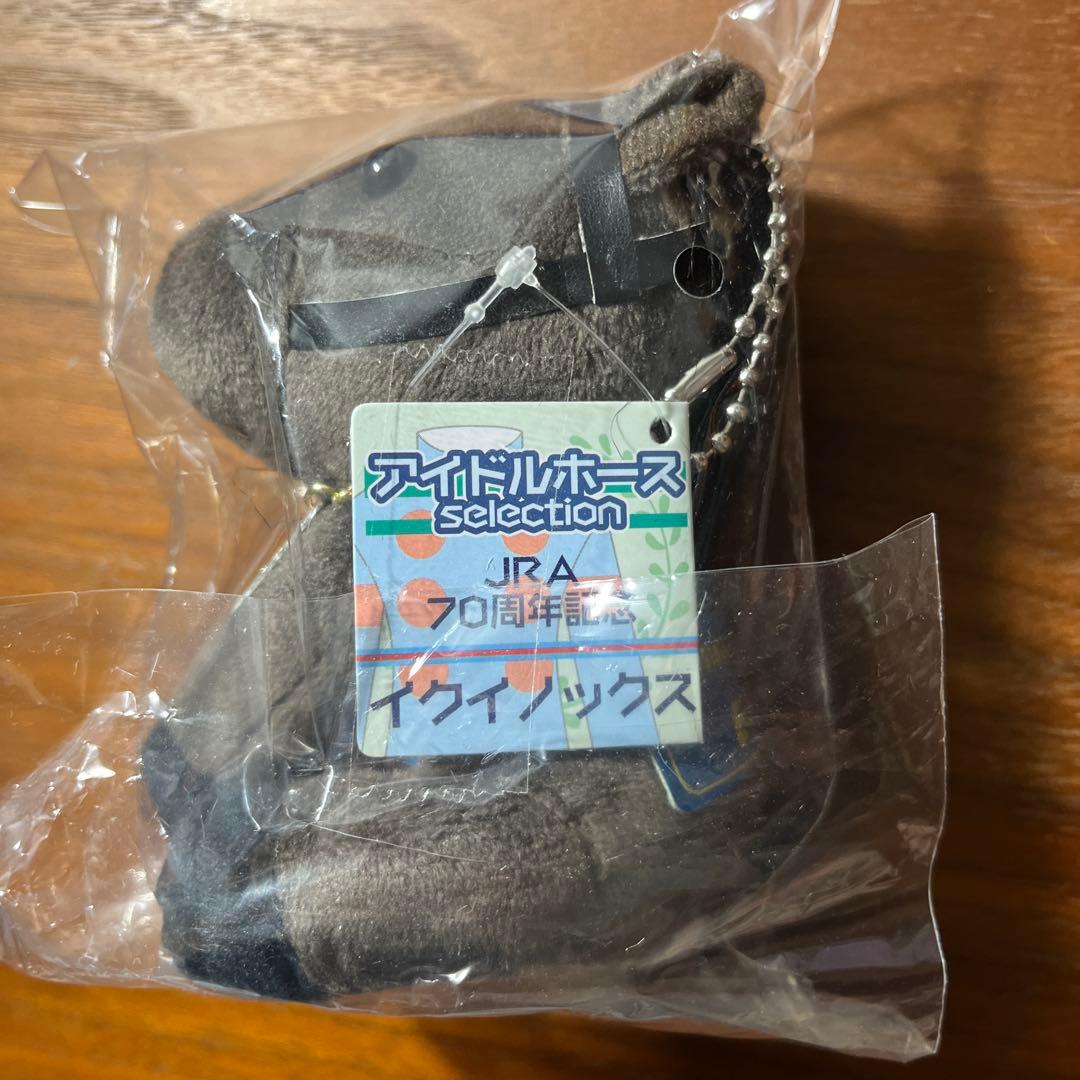 イクイノックス アイドルホース JRA70周年 ウェルカムチャンスA賞