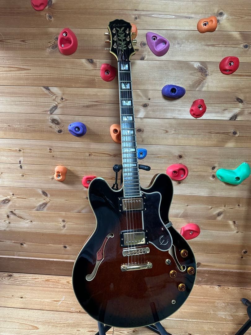519rinrinpark ！Epiphone Sheraton