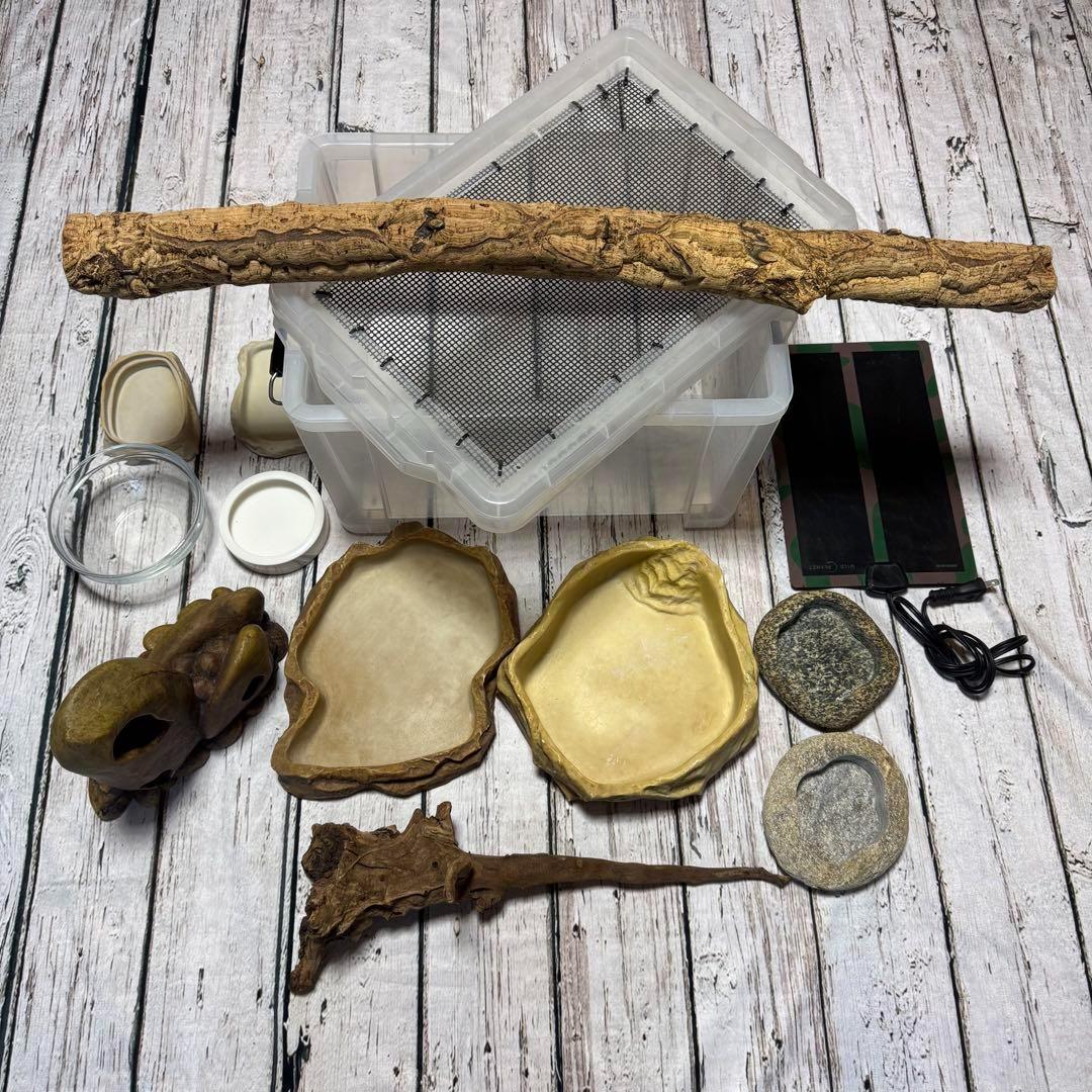 超お買い得セット　匿名配送　送料無料　飼育用品セット　餌皿　エキゾテラ　ボックス