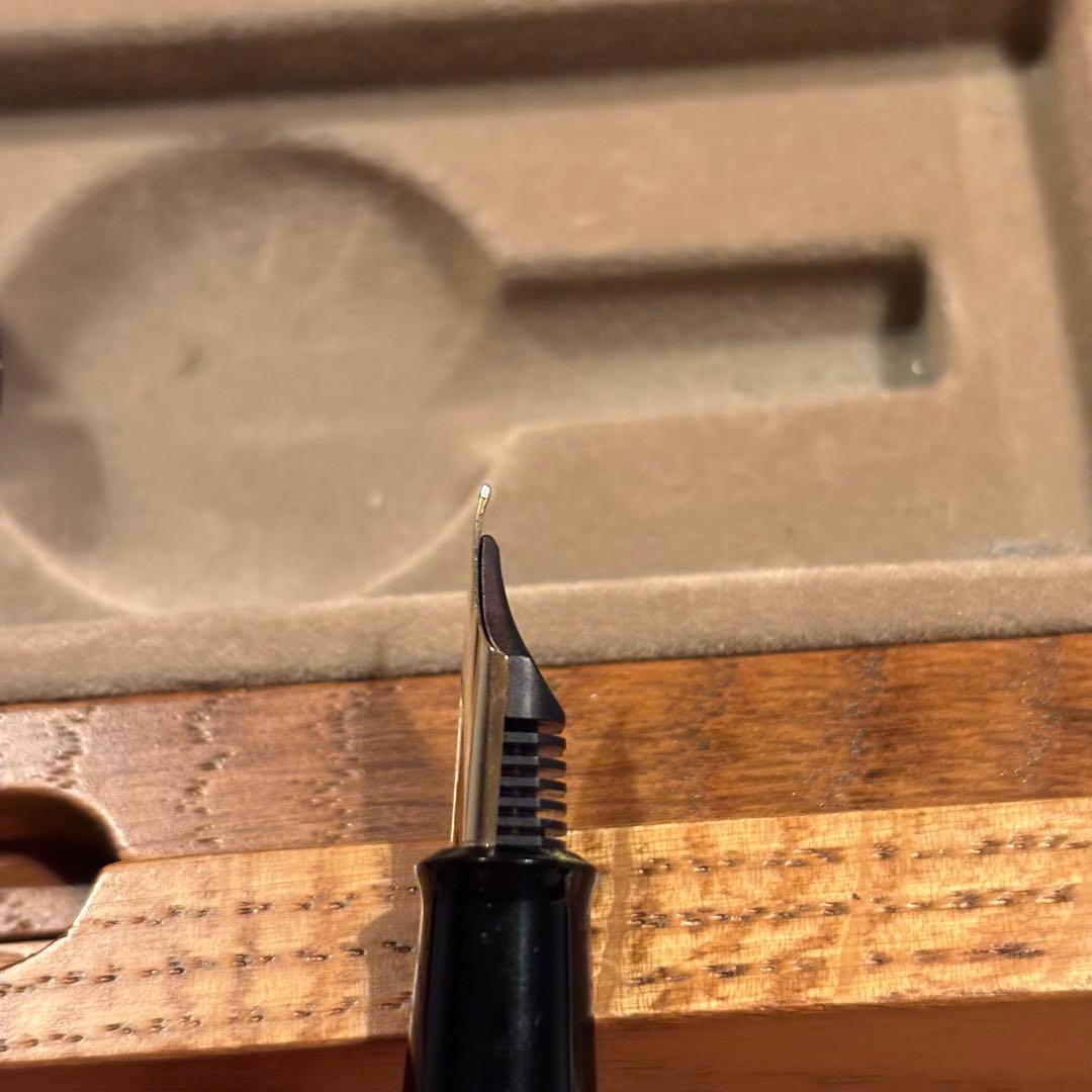 【限定品】PILOT 創立70周年 記念 万年筆　希少