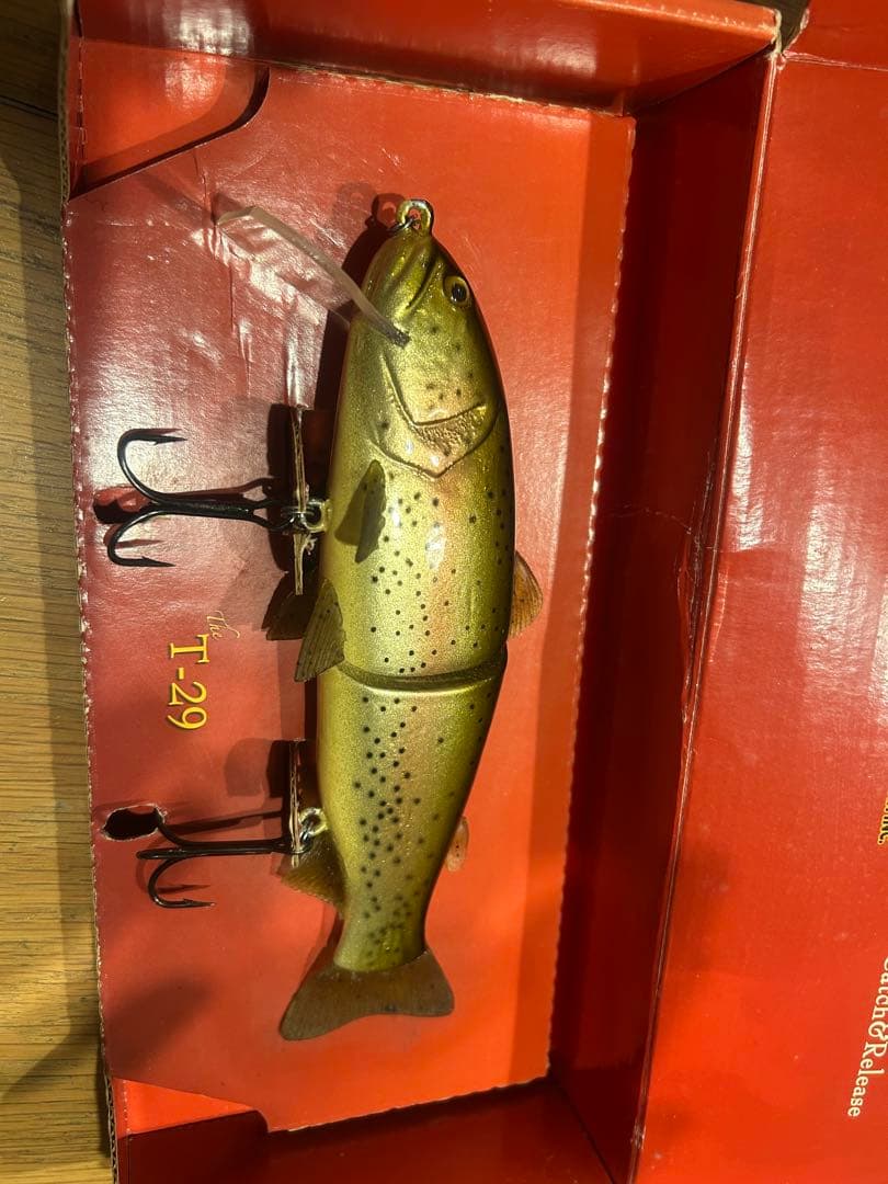 ルアー・フライ Castaic T-29