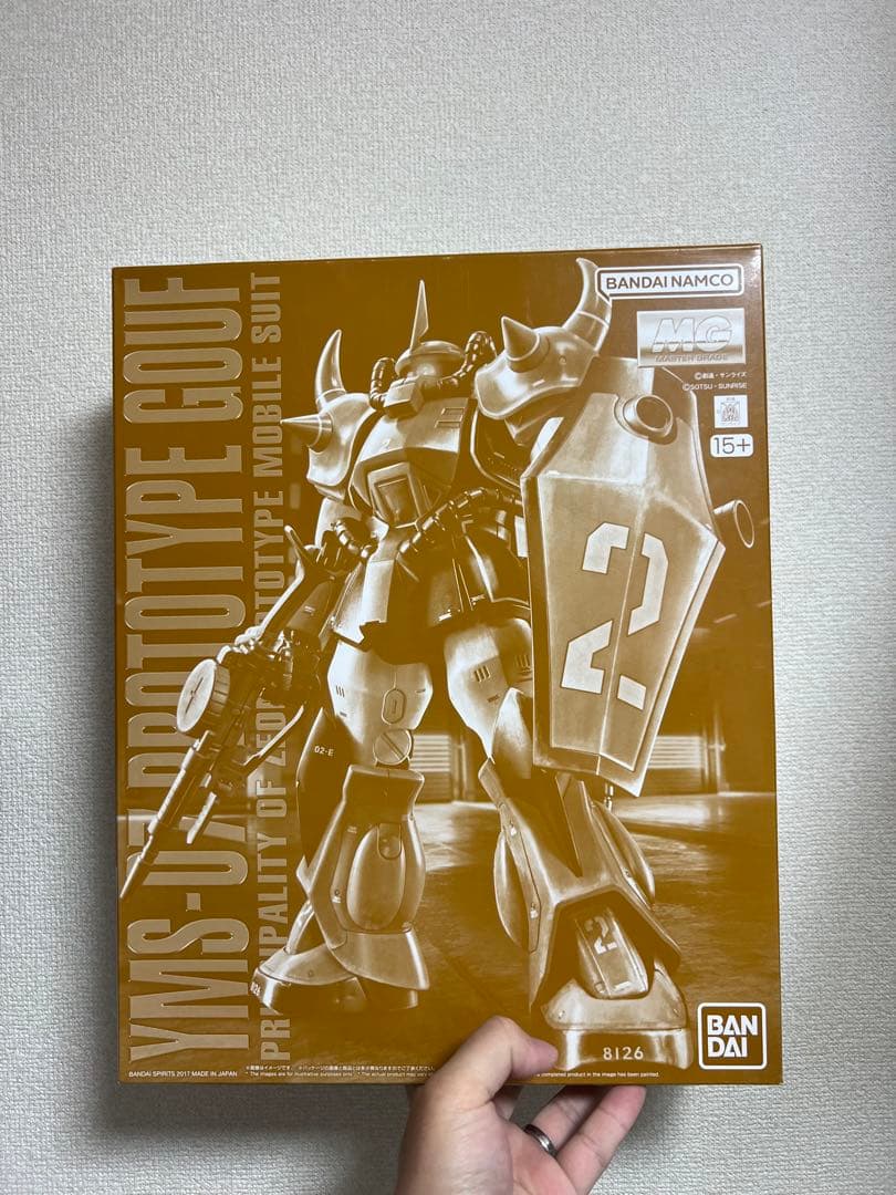 MG 1/100 プロトタイプグフ