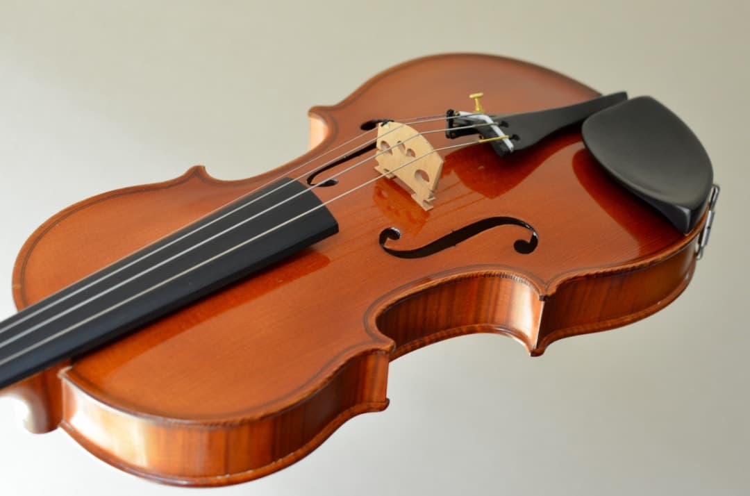 【銘器】R.Paesold No.804 バイオリン 4/4 1991年