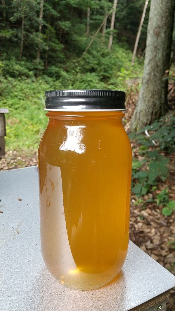 はちみつ 3kg 国産 天然 純粋 生蜂蜜 2025年6月新蜜 【養蜂家直送】