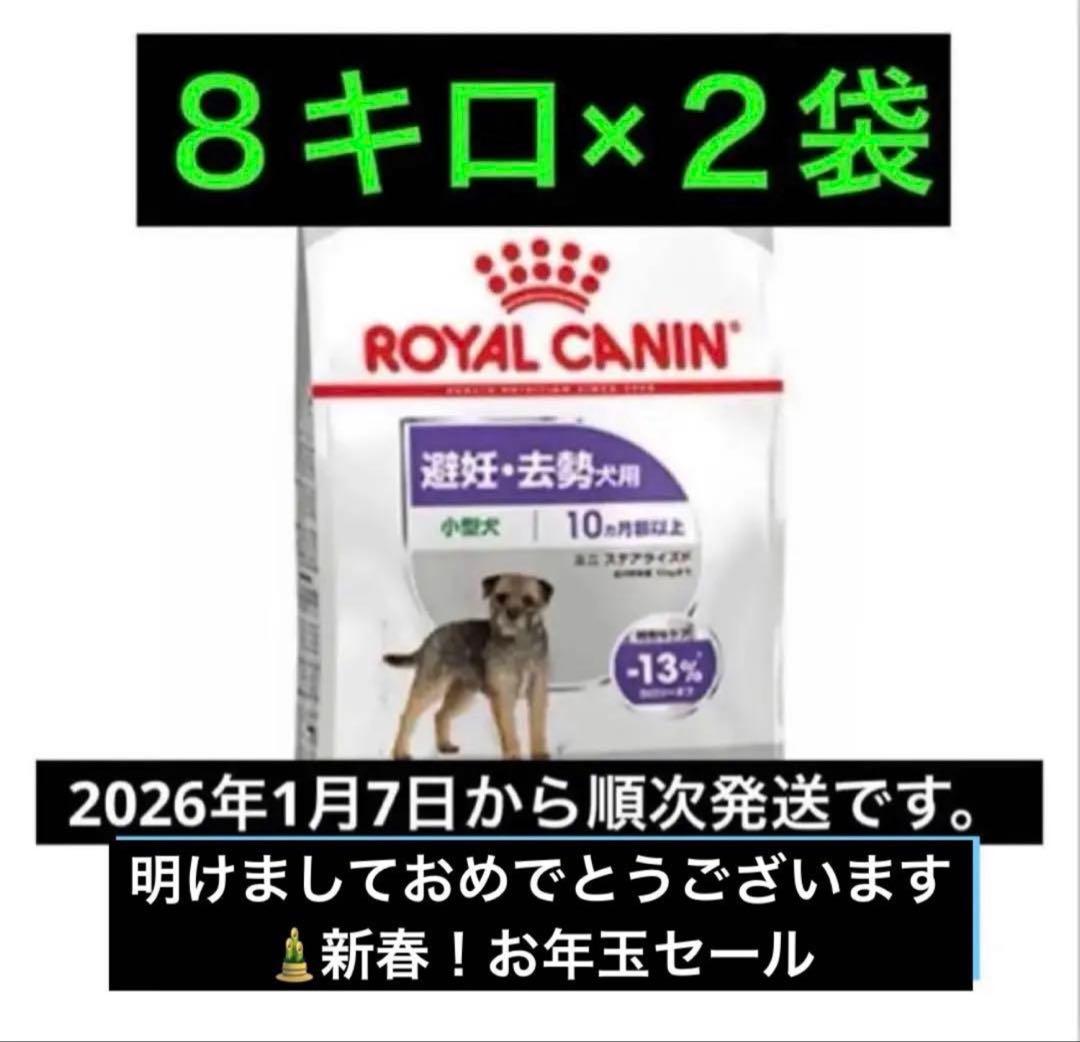  CANIN 小型犬用8キロ×2袋 ロイヤルカナン　ミニステアライズド