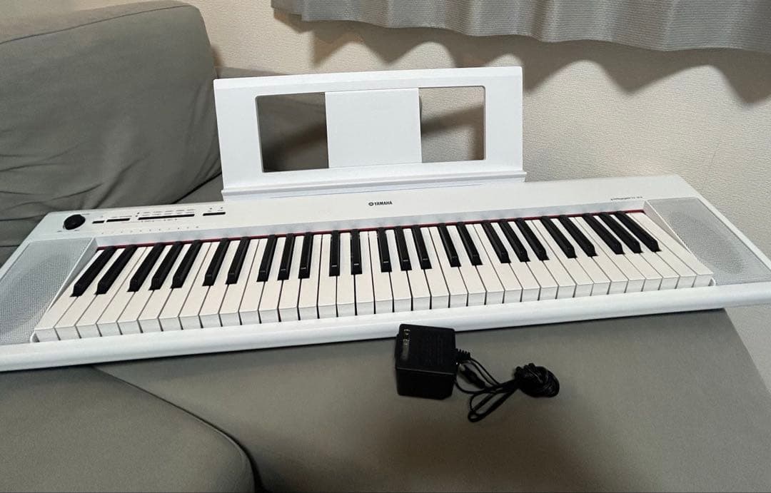 【ワカコ】YAMAHA Piaggero NP-12