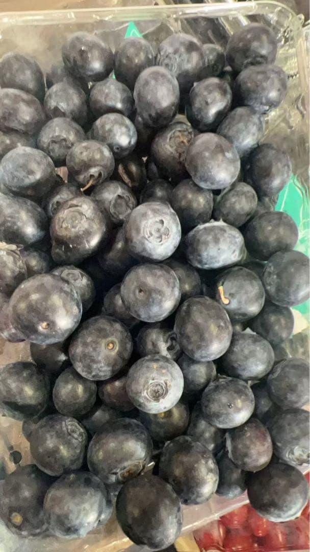 ブルベリー6パック