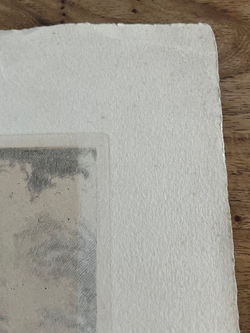 版画　ウィーン サンシュテファン寺院