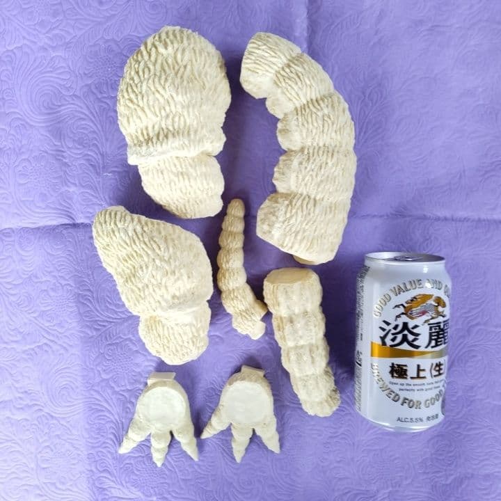 浅井造型 キンゴジ 東北本線北上 単体