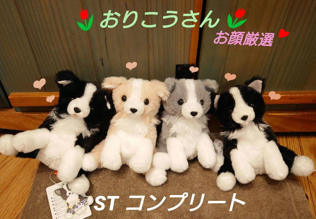 くったりボーダーコリー おりこうさん STコンプリート