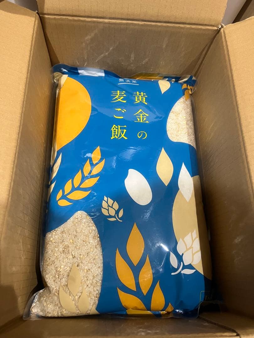 森のくまさん 麦ご飯 熊本県産 こめたつ