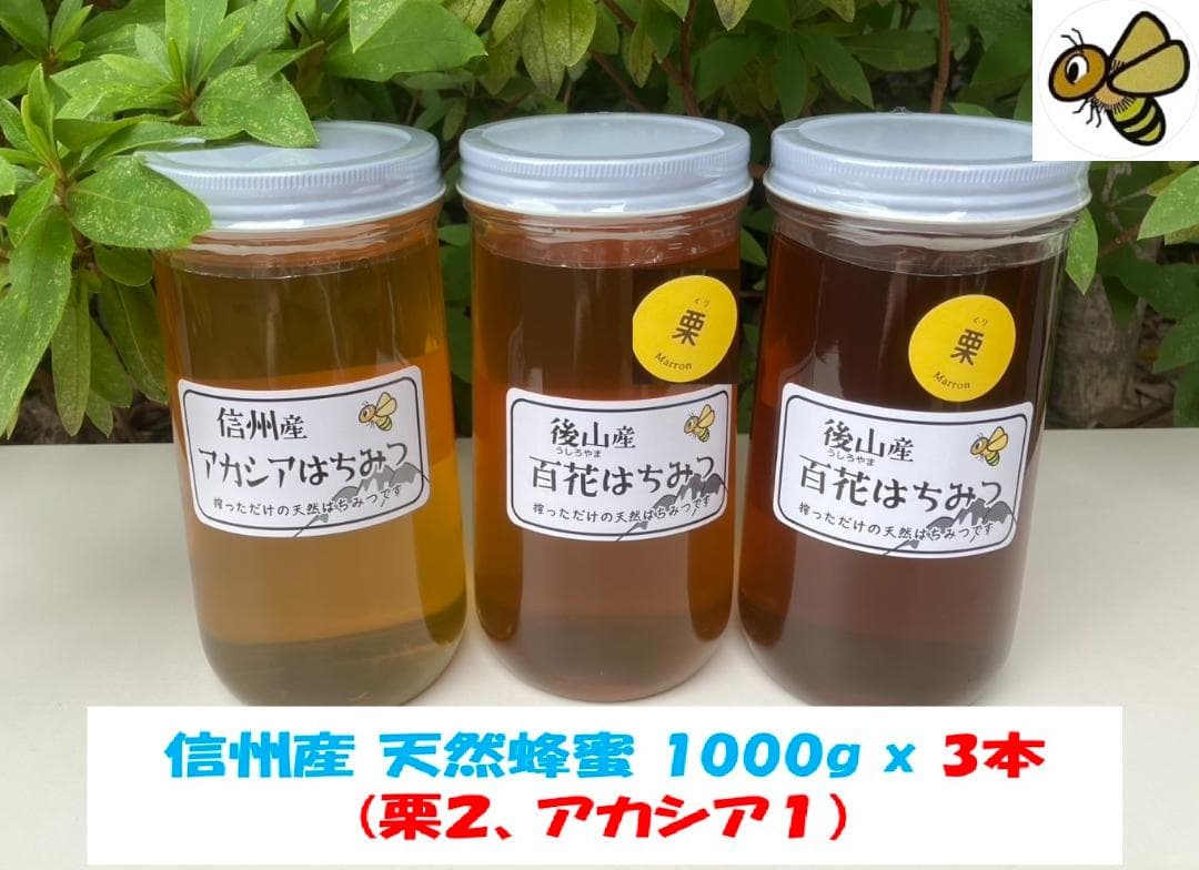 【さくら】　信州産 蜂蜜 1000g ３本 国産蜂蜜