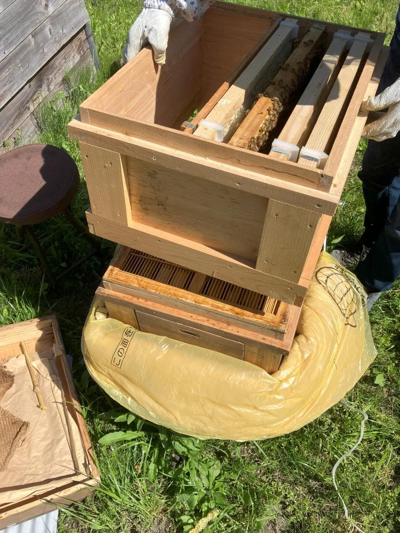 【さくら】　信州産 蜂蜜 1000g ３本 国産蜂蜜