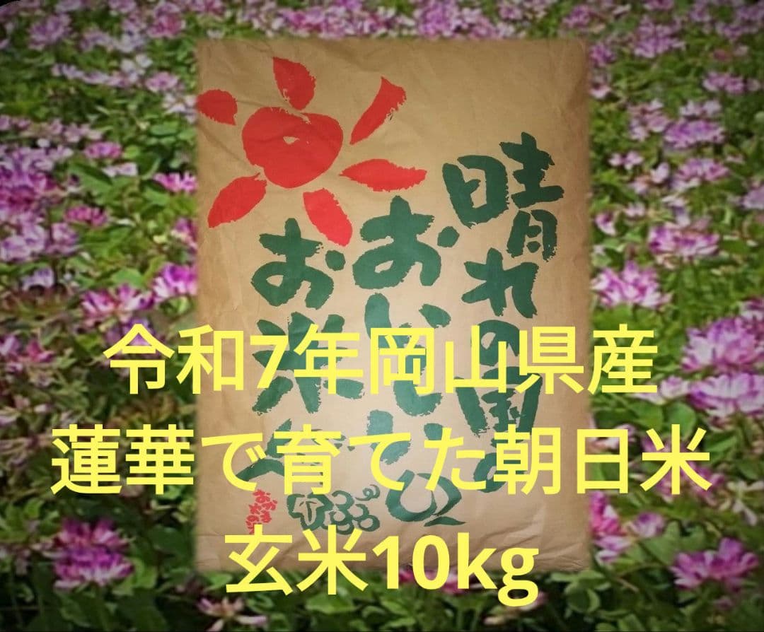 ②令和6年岡山県産　朝日米 玄米10キロ