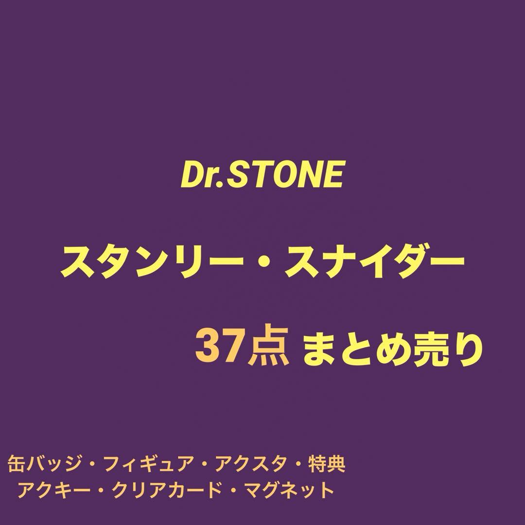 Dr.stone スタンリー　まとめ売り 37点セット