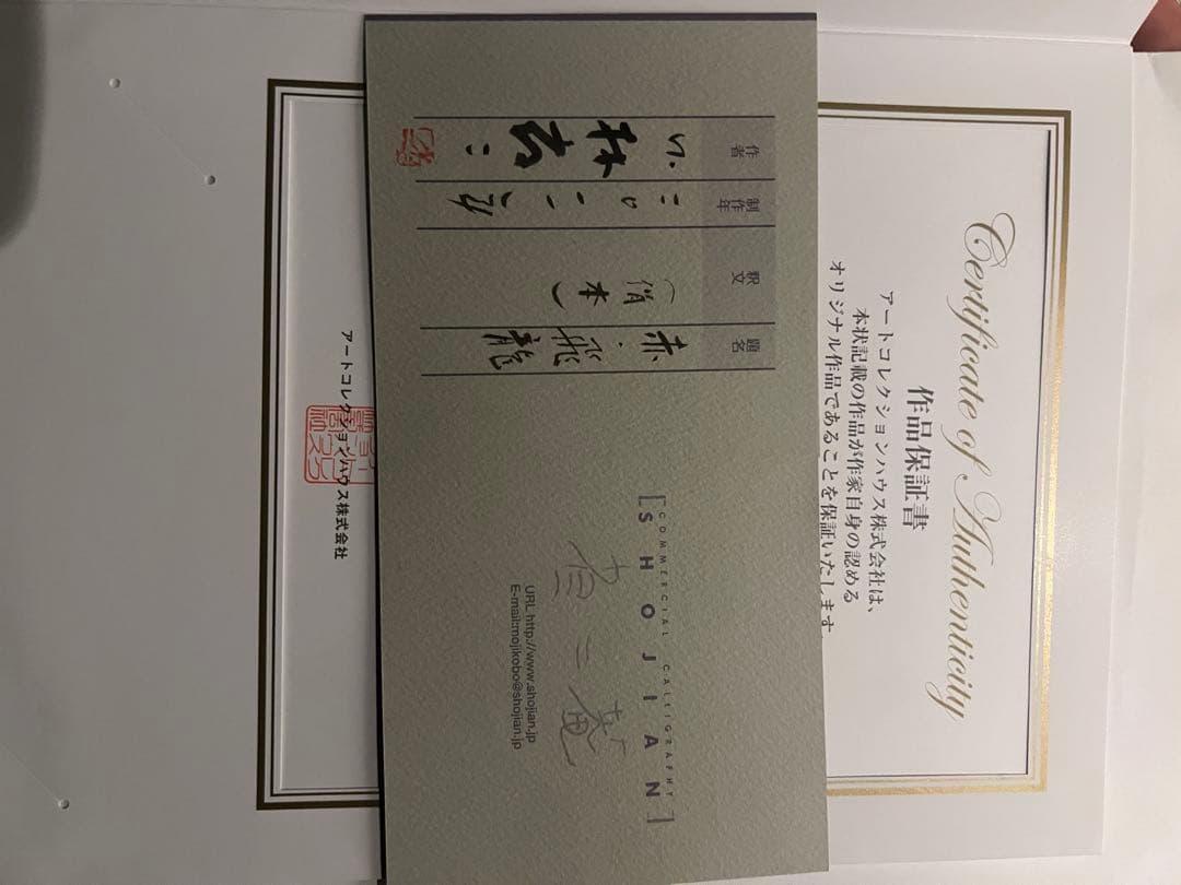 外林　省二　【飛龍】　original 保証書あり