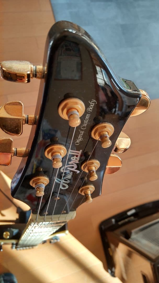 ARIA pe509ニアミント