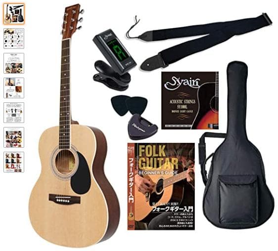 HONEY BEE ハニービー アコースティックギター フォークギタータイプ