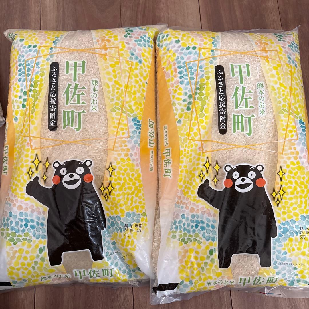 甲佐町産 10kg 米 精米2024年5月上旬