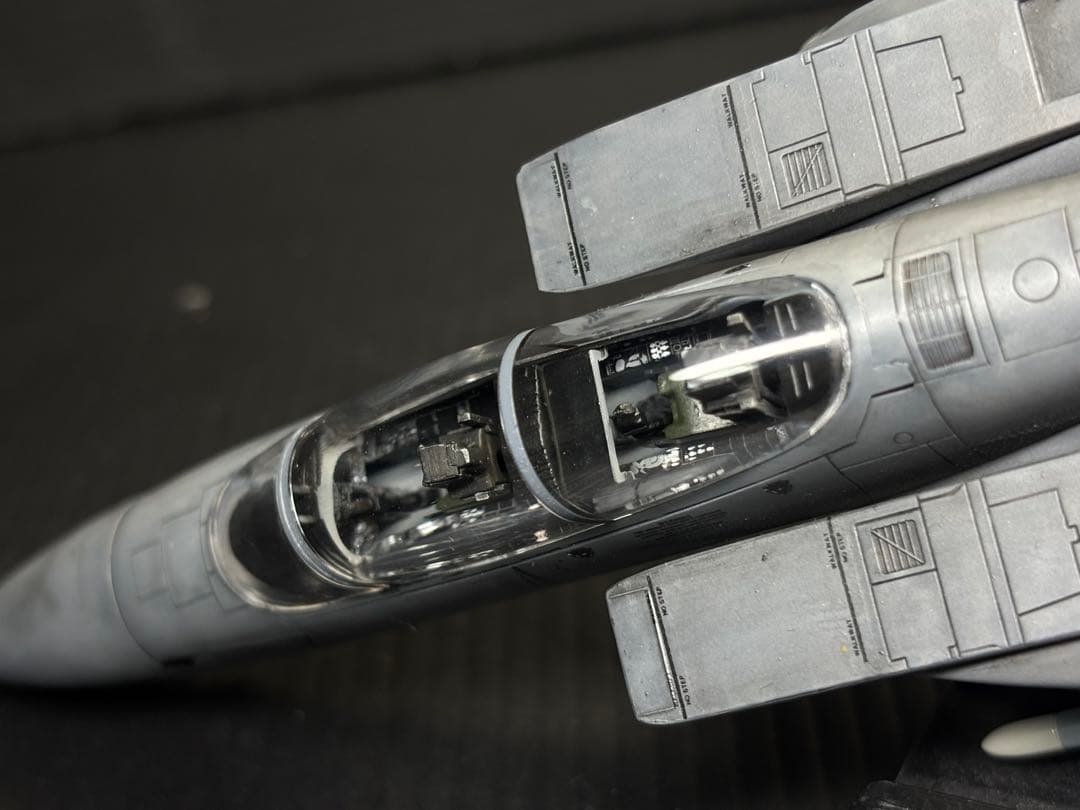 F15E ストライクイーグル(デモ機仕様) 1/72 プラモデル完成作品